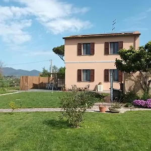 Podere 660 Il Salice Appartamento