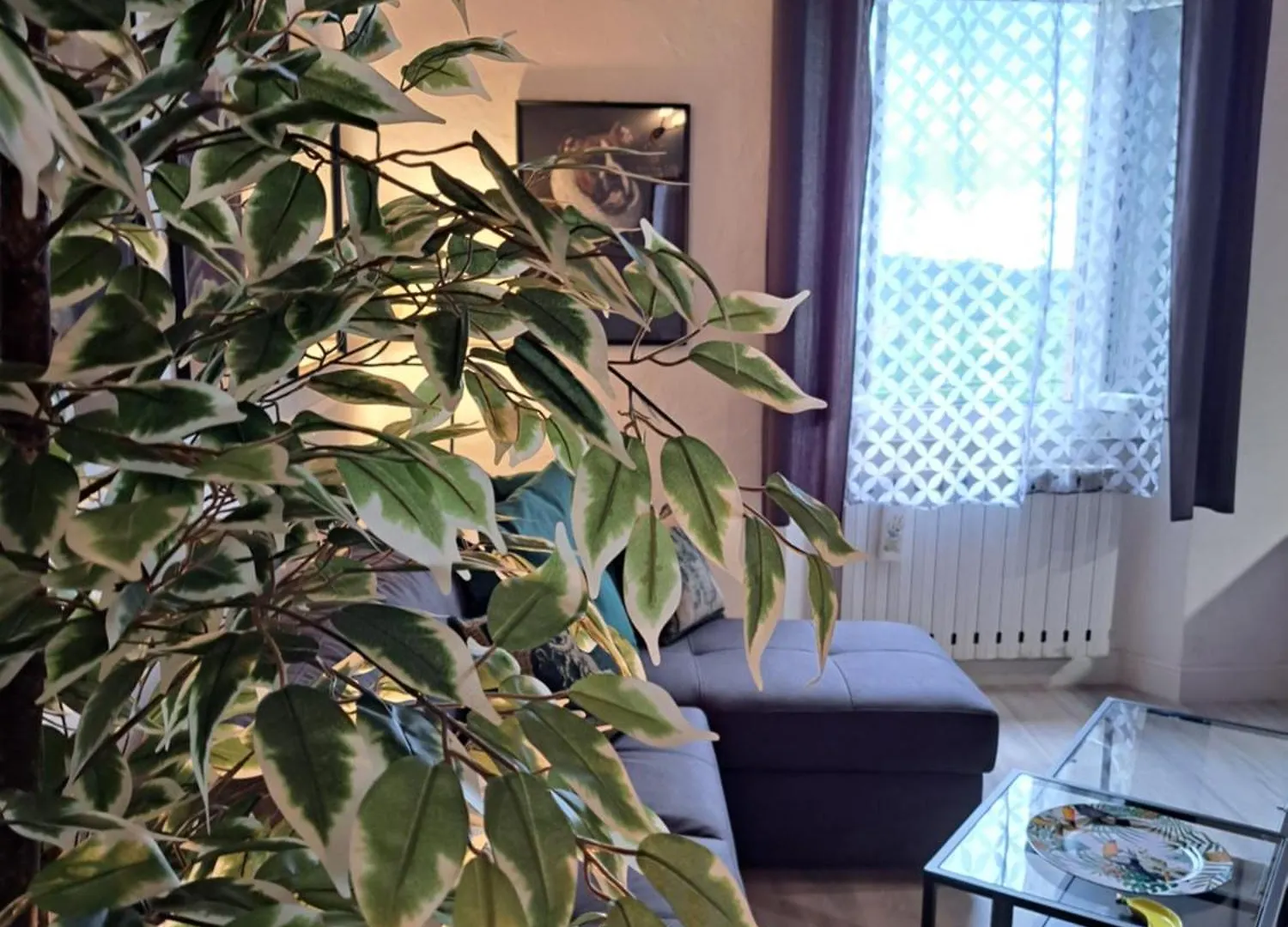 Guest House Vista Bella Apartment & Studio Prata 0*,  Italy